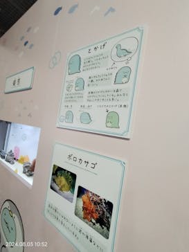 アクアワールド茨城県大洗水族館に投稿された画像（2024/8/4）