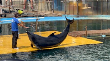 越前松島水族館に投稿された画像（2024/8/4）