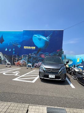 越前松島水族館に投稿された画像（2024/8/4）