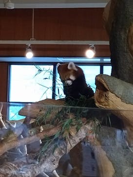 ネオパークオキナワに投稿された画像（2024/8/5）