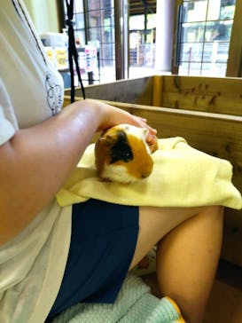 ネオパークオキナワに投稿された画像（2024/8/5）