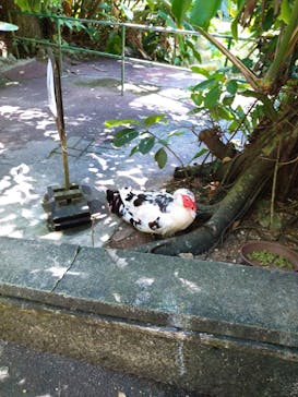 ネオパークオキナワに投稿された画像（2024/8/5）