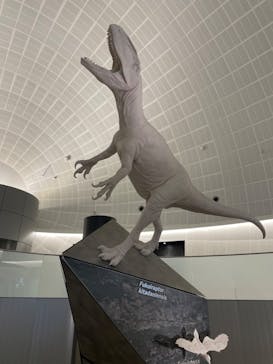 福井県立恐竜博物館に投稿された画像（2024/8/5）