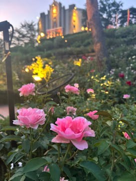 西武園ゆうえんちに投稿された画像（2024/8/5）