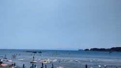 セブンシーズに投稿された画像（2024/8/4）