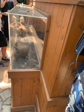 横浜・八景島シーパラダイスに投稿された画像（2024/8/5）