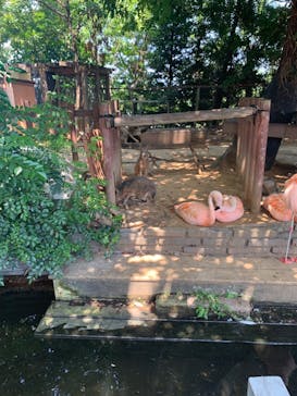 横浜・八景島シーパラダイスに投稿された画像（2024/8/5）