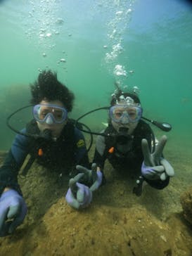 武藤潜水に投稿された画像（2024/8/5）