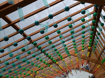 ひるがのピクニックガーデンに投稿された画像（2024/8/5）