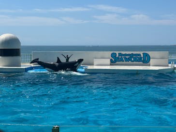 鴨川シーワールドに投稿された画像（2024/8/5）