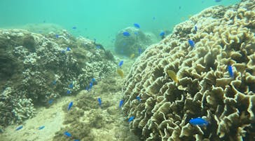 武藤潜水に投稿された画像（2024/8/5）