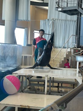 アクアワールド茨城県大洗水族館に投稿された画像（2024/8/5）