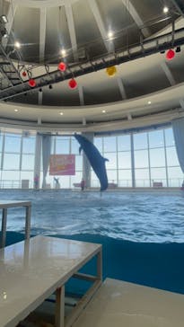 アクアワールド茨城県大洗水族館に投稿された画像（2024/8/5）