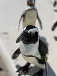 仙台うみの杜水族館に投稿された画像（2024/8/5）