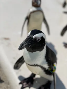 仙台うみの杜水族館に投稿された画像（2024/8/5）