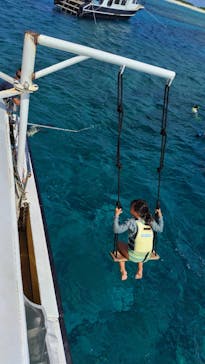 OPG（オーピージー）に投稿された画像（2024/8/5）