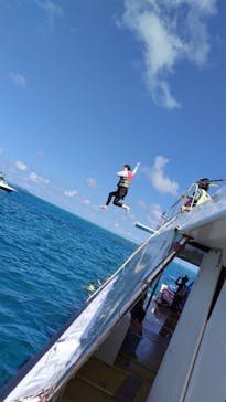 OPG（オーピージー）に投稿された画像（2024/8/5）