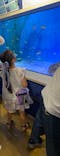 竹島水族館に投稿された画像（2024/8/4）