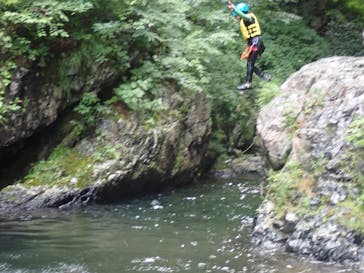 フィールドアースに投稿された画像（2024/8/4）