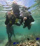 沖縄マリンサービス碧に投稿された画像（2024/8/5）