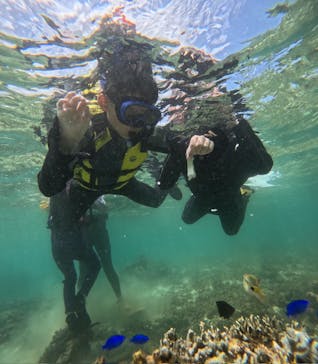 沖縄マリンサービス碧に投稿された画像（2024/8/5）