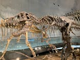 福井県立恐竜博物館に投稿された画像（2024/8/5）