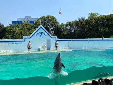 しながわ水族館に投稿された画像（2024/8/5）