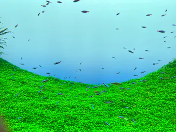 すみだ水族館に投稿された画像（2024/8/5）