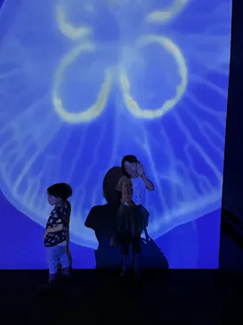 すみだ水族館に投稿された画像（2024/8/5）