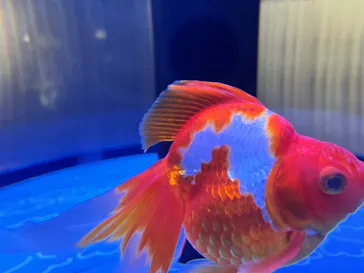 すみだ水族館に投稿された画像（2024/8/5）