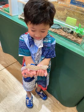  ハーベストの丘に投稿された画像（2024/8/5）