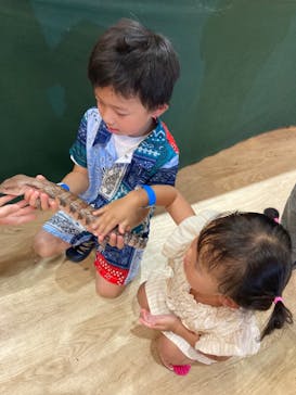  ハーベストの丘に投稿された画像（2024/8/5）