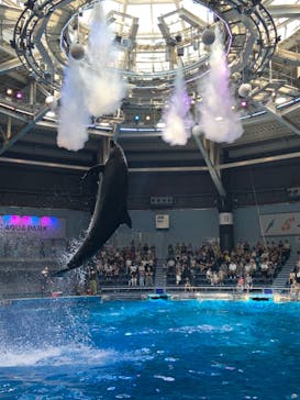 マクセル アクアパーク品川に投稿された画像（2024/8/5）