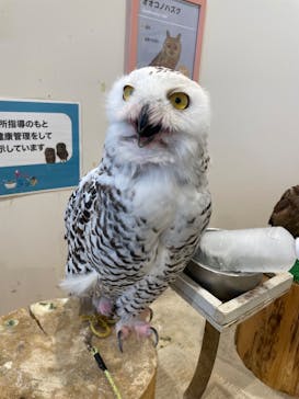 アニタッチみなとみらいに投稿された画像（2024/8/5）