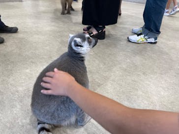 アニタッチみなとみらいに投稿された画像（2024/8/5）