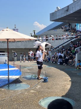 大分マリーンパレス水族館 「うみたまご」に投稿された画像（2024/8/5）