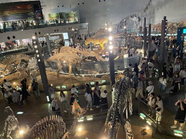 福井県立恐竜博物館に投稿された画像（2024/8/5）