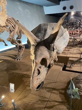 福井県立恐竜博物館に投稿された画像（2024/8/5）