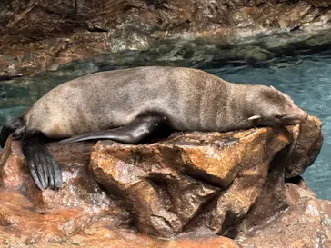 すみだ水族館に投稿された画像（2024/8/5）