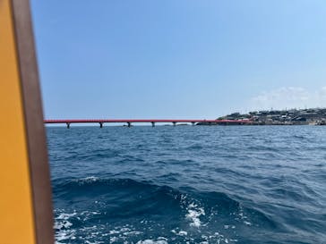 東尋坊観光遊覧船株式会社に投稿された画像（2024/8/5）