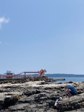 串本海中公園水族館に投稿された画像（2024/8/4）