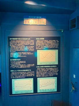 串本海中公園水族館に投稿された画像（2024/8/4）