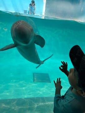 マリンワールド海の中道に投稿された画像（2024/8/5）