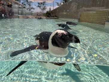 マリンワールド海の中道に投稿された画像（2024/8/5）