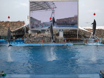 名古屋港水族館に投稿された画像（2024/8/5）