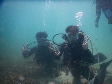 ミスオーシャンダイビングサービスに投稿された画像（2024/8/5）