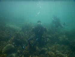 ミスオーシャンダイビングサービスに投稿された画像（2024/8/5）