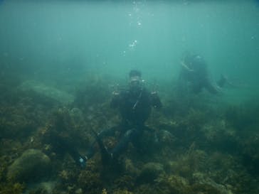 ミスオーシャンダイビングサービスに投稿された画像（2024/8/5）