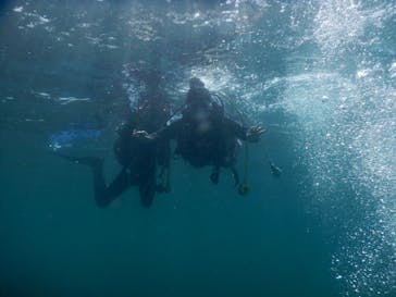 ミスオーシャンダイビングサービスに投稿された画像（2024/8/5）