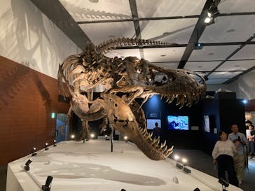 DinoScience 恐竜科学博 ～ララミディア大陸の恐竜物語～ 2024@OSAKAに投稿された画像（2024/8/5）